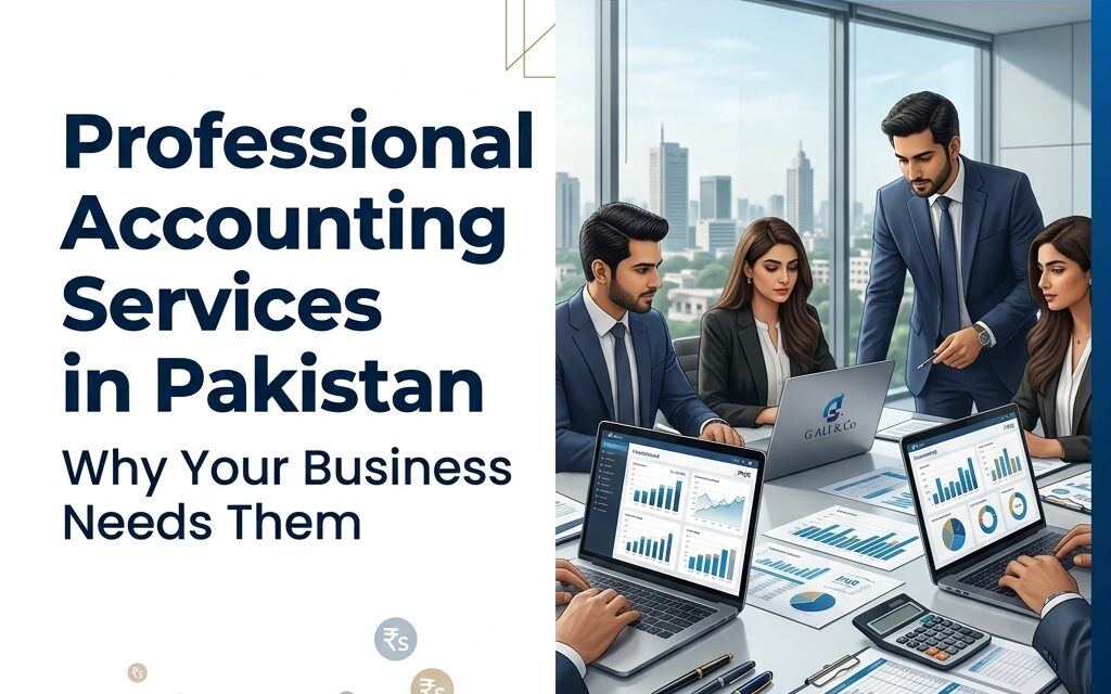 Professional Accounting Services in Pakistan – Why Your Business Needs Them